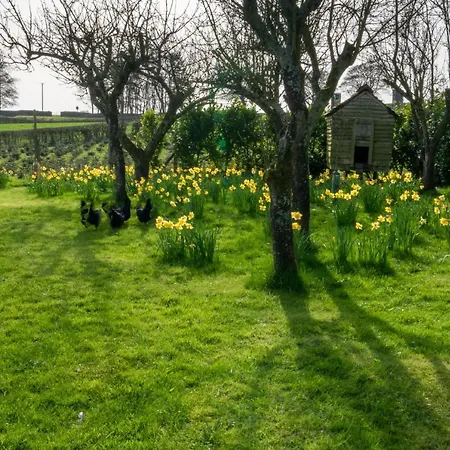 Two Acres